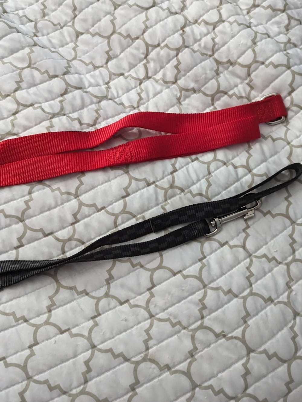2 Dog Leashes